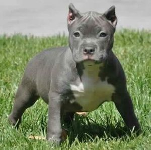 Meet your Posher, Jorge